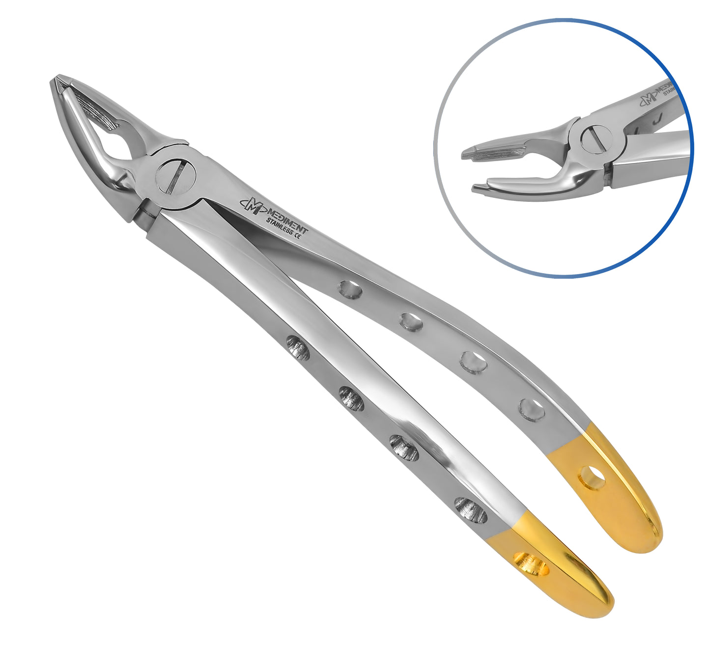 Dental Extracting Forcep F1