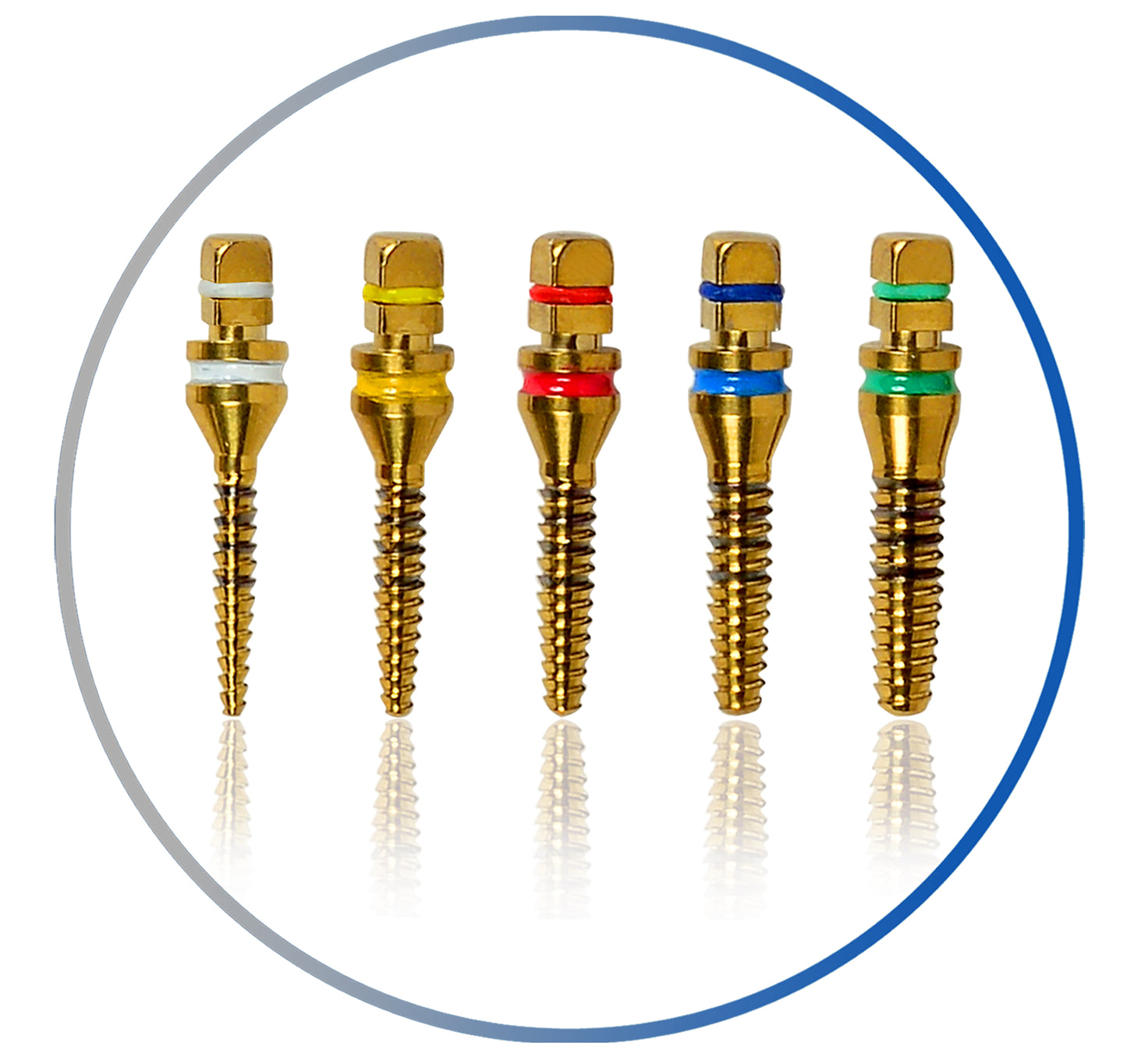 Bone Expander Screws With Ratchet