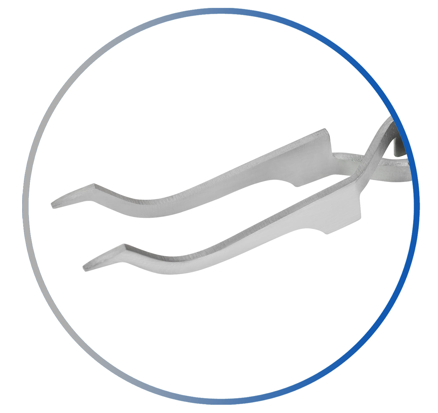 Dental Buccal Tube Tweezer
