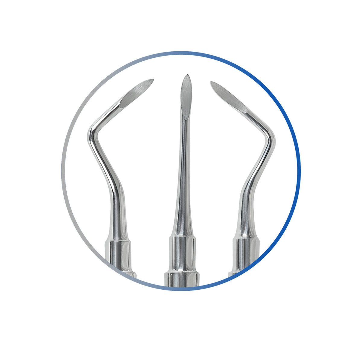 Picker Instrument Dental Root Picker Set of 3 – Mediment Instruments