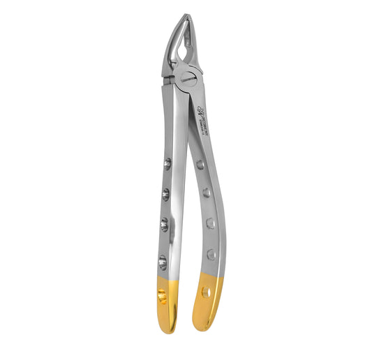 Dental Extracting Forcep F1