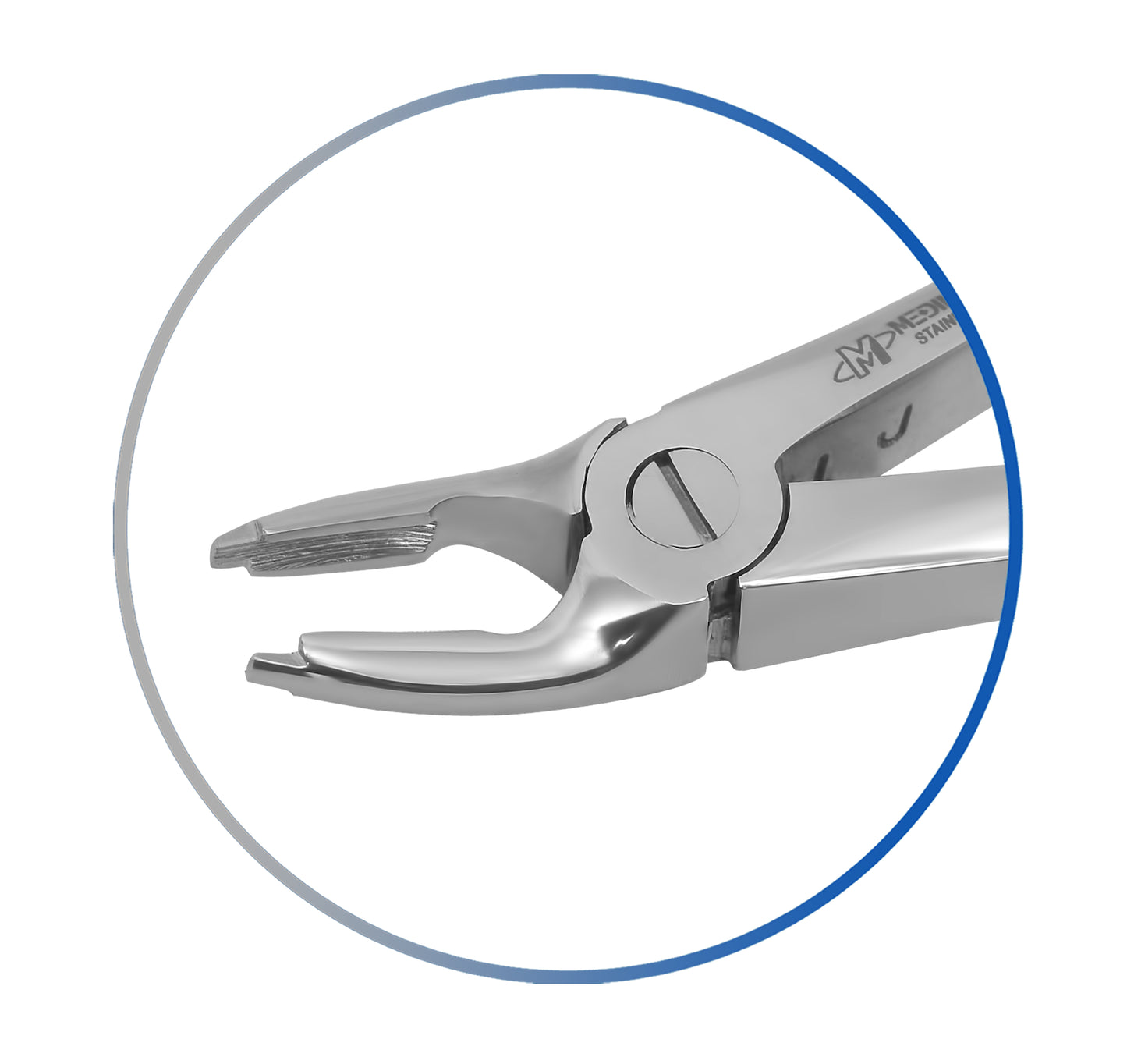Dental Extracting Forcep F1