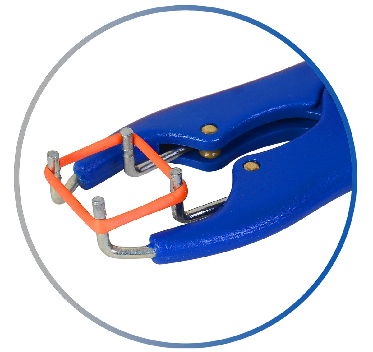 Prostrators Elastrator Castration Pliers – Mediment Instruments